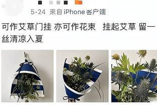 塔图姆：我不是找借口 但当脚踝扭伤的时候会肿&影响移动